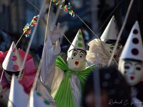 CARNAVAL DE LIMOUX 2025 : "LES ARCADIENS"