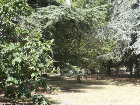 JEP 2025 - PARC DE CLUNY