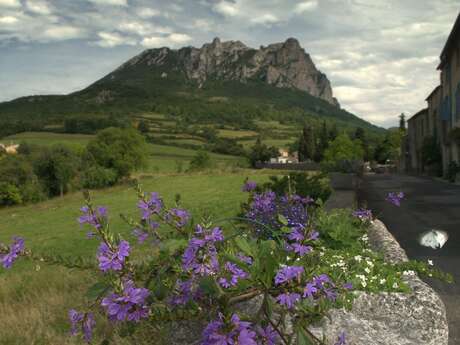 MARCHÉ DE BUGARACH