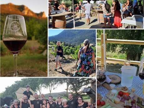 UNE JOURNÉE AU COEUR DES VINS DU LIMOUXIN