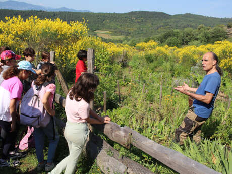 LE MEET 2025-LE JARDIN-FORÊT CAP’HÉOL