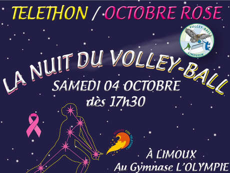 NUIT DU VOLLEY