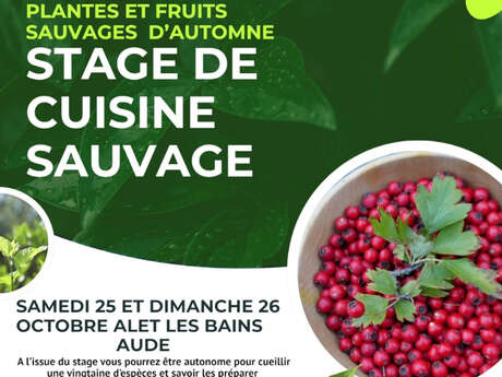 STAGE DE CUISINE SAUVAGE