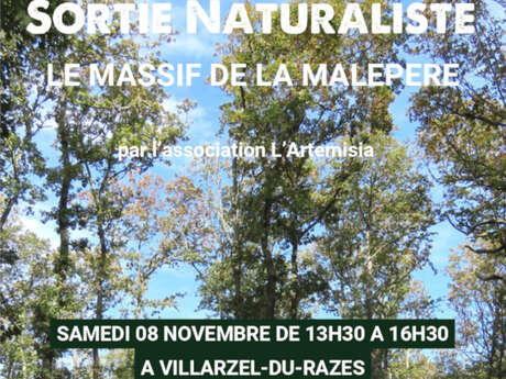 SORTIE NATURALISTE LE MASSIF DE LA MALEPÈRE
