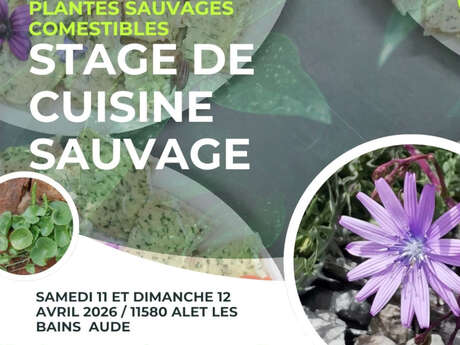 PLANTES SAUVAGES COMESTIBLES- STAGE DE CUISINE SAUVAGE