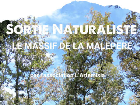 SORTIE NATURALISTE LE MASSIF DE LA MALEPERE