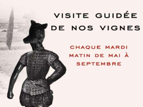 VISITE GUIDÉE DE NOS VIGNES
