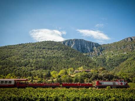 HALTE DU TRAIN ROUGE POUR UNE VISITE DU CHATEAU DE PUILAURENS