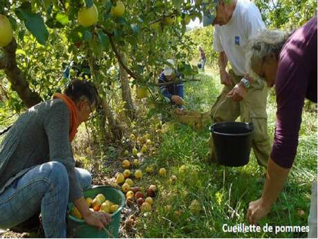 STAGE DE GREFFE SUR FRUITIERS SAUVAGES