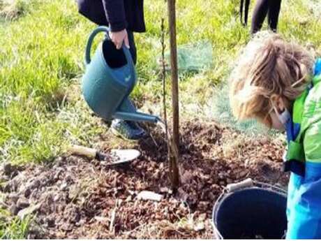 PLANTATION SUR LA VOIE VERTE