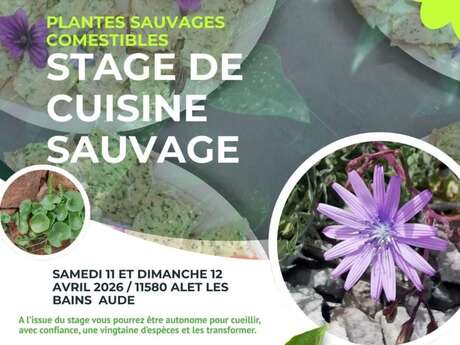 STAGE DE CUISINE SAUVAGE