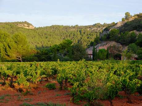 CHÂTEAU PRIEURÉ BORDE ROUGE