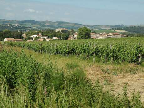 JEP 2025 - BRUGAIROLLES