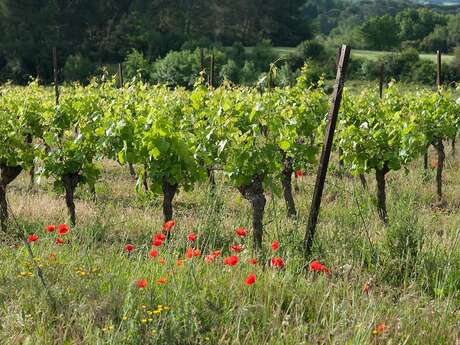 DOMAINE DE LA SAPINIÈRE