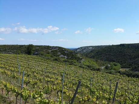 DOMAINE DE COUCHALOU