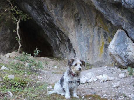 VISITE GUIDÉE : LA GROTTE BLEUE ET LA FONTAINE DES 4 RITOUS