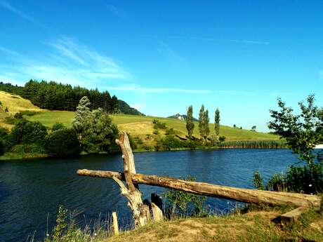 LAC DE VENE