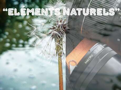 EXPOSITION COLLECTIVE "ÉLÉMENTS NATURELS"- LE MOIS DE LA PHOTOGRAPHIE