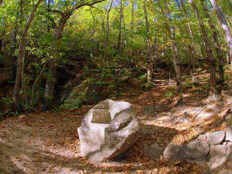 CHASSE AU TRÉSOR DE RENNES LES BAINS - LA FORÊT DES LÉGENDES