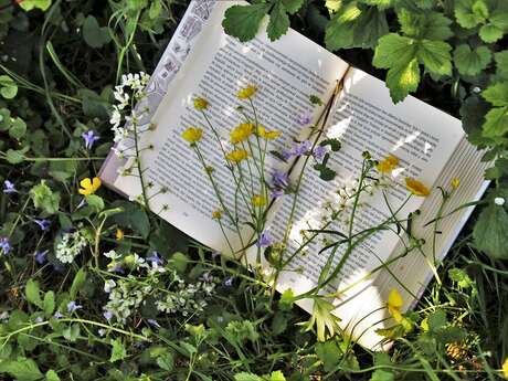 Apprendre à reconnaître les arbres et fabriquer son herbier