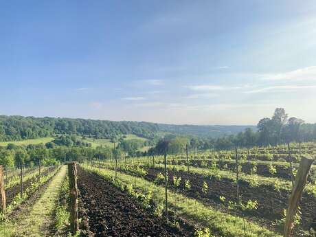 Pâques au domaine des Déserts - Brunch huîtres et vin blanc et chasse aux oeufs