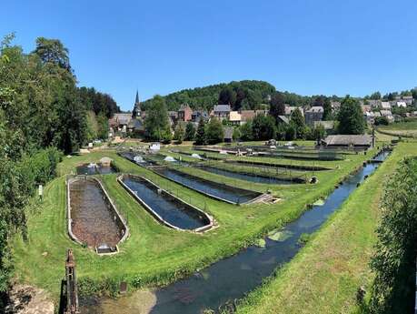 Les Truites du Pays d'Auge