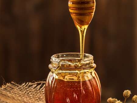 Abeille de Ver