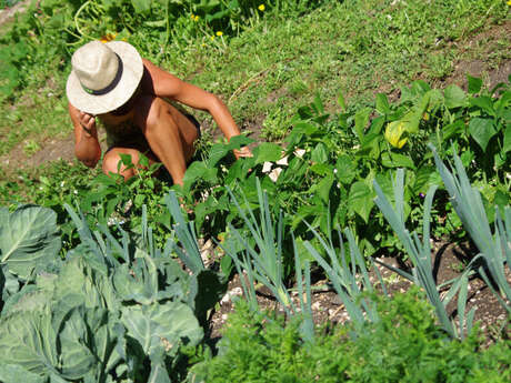 "Techniques et connaissance du sol de mon jardin"