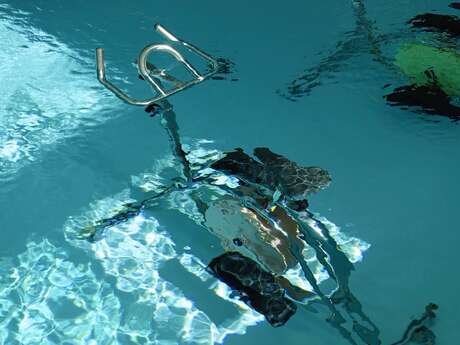 Aquabike à la Piscine de Saint-Pierre-en-Auge