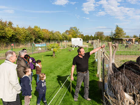 Visite guidée du Clos des Ratites