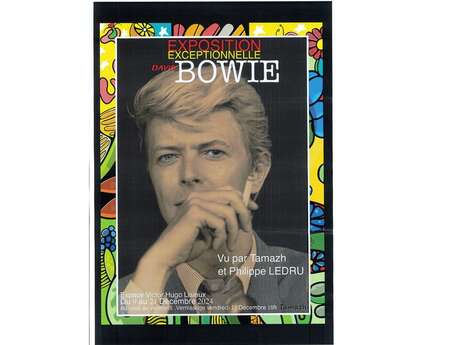 Exposition sur David Bowie