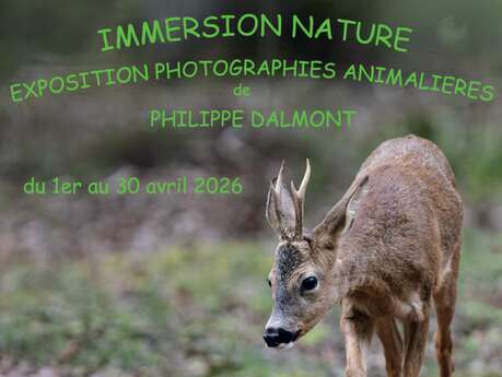 Exposition "Photographies animalières" de Philippe DALMONT au Village Fromager - Livarot
