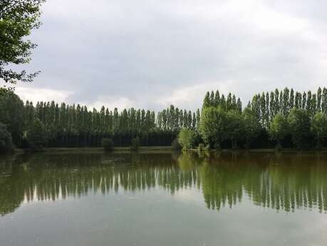 Fishing pond : Domaine de l'Orbiquet