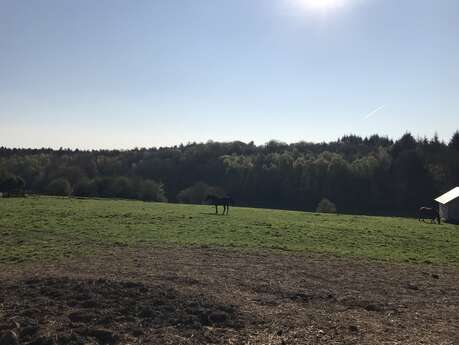 Le Gîte du Haras - Chez Anne-Pascale Larue