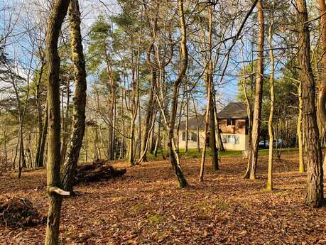 Gîte de la forêt - Chez Catherine Richer