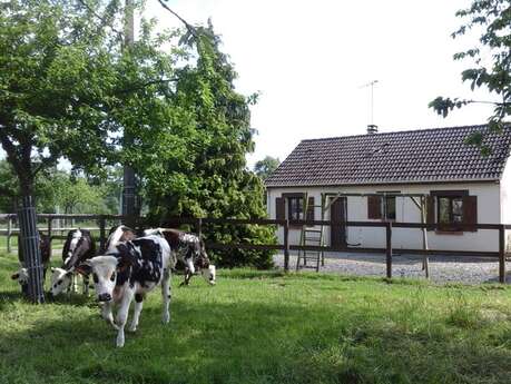 Gîte rural à la Ferme - Chez Christophe Barbé