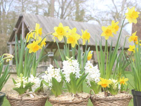 Le Jardin s'invite au Château