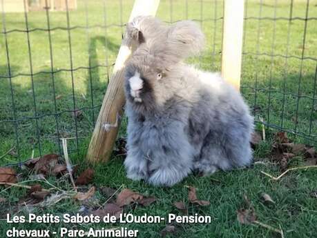 Ferme pédagogique les Petits Sabots de l'Oudon