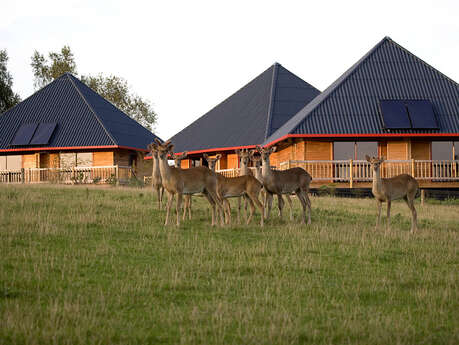 Les Safari Lodges - Parc Zoologique Cerza