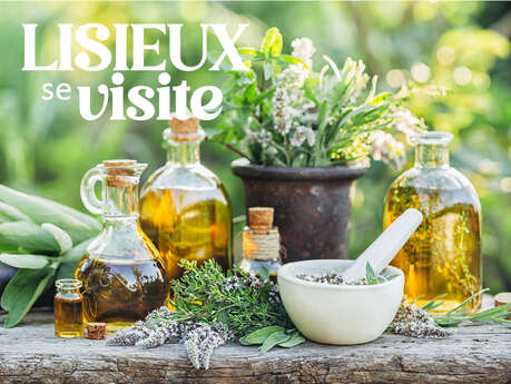 Visite - les plantes et leurs propriétés