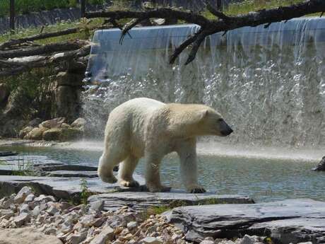 Parc Zoologique de Cerza