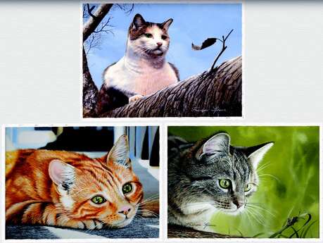 Exposition de photographies au Village Fromager - Livarot