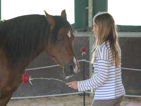 Equestrian center : Le Moulin Bourg