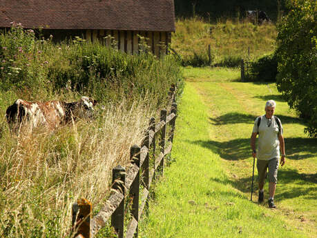 Au domaine rural - Départ : Auquainville