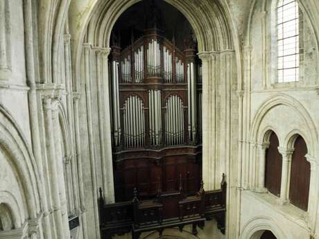 Pierres en Lumières - Restauration de la cathédrale, l'orgue