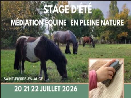 Stage d'été Médiation équine en pleine nature