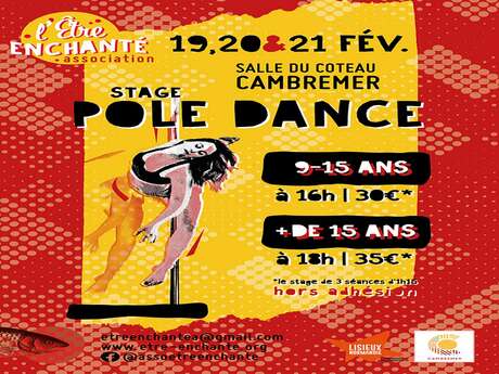 stage pôle dance