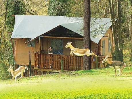 Tentes Safari - Parc zoologique Cerza