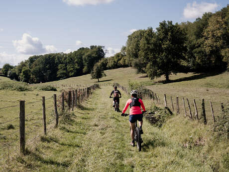 Circuit de Courtonne - Départ : Courtonne-la-Meurdrac