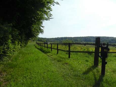 Aux portes du Pays d'Auge - Départ : Boissey Aux portes du Pays d'Auge - Départ : Boissey